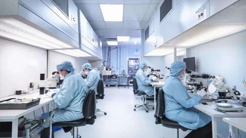 科技、地緣與生物安全 圍繞海外生物實(shí)驗(yàn)室的爭(zhēng)議與隱憂(yōu)