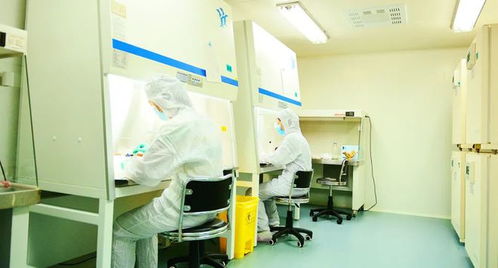 秦創(chuàng)原上話(huà)發(fā)展丨這個(gè)B+A級(jí)GMP生物實(shí)驗(yàn)室，投用在即 惟物實(shí)驗(yàn)室