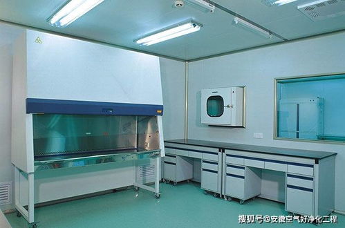 合肥市無(wú)菌凈化車(chē)間設(shè)計(jì)與施工 以惟物實(shí)驗(yàn)室為例的實(shí)踐解析