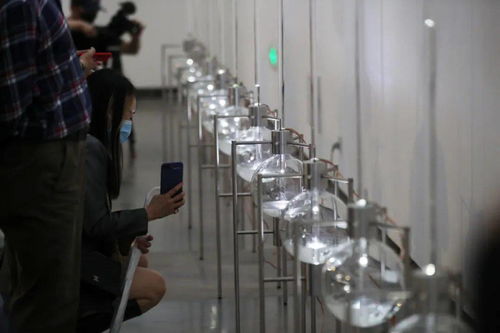 為生活加點(diǎn)油 隨物生心，打開(kāi)惟物實(shí)驗(yàn)室的神秘大門(mén)