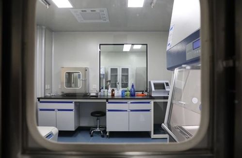 大竹縣建成二級(jí)生物安全實(shí)驗(yàn)室，每日檢測(cè)能力達(dá)200人份